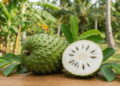 A fruta tropical que pode apoiar a imunidade e ainda tem plantio simples em casa