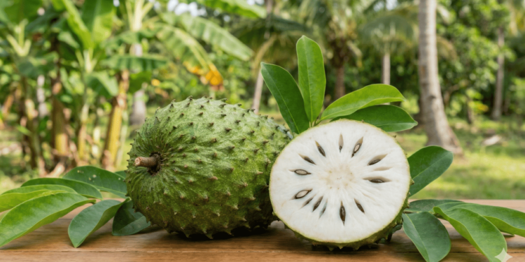 Quando se fala em graviola para imunidade, a fruta aparece como aliada dentro de uma alimentação variada, cheia de frutas e verduras