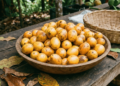 Fruta comum no Nordeste ganha destaque por benefícios ao sistema digestivo