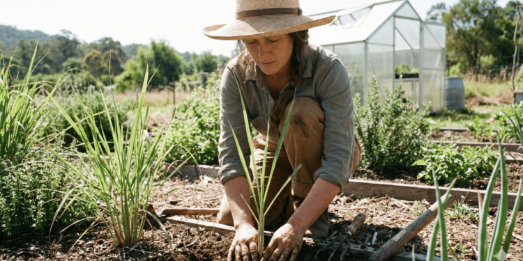 Além do efeito calmante relatado, o capim-limão é muito lembrado por ajudar na digestão e por um possível efeito antiespasmódico leve