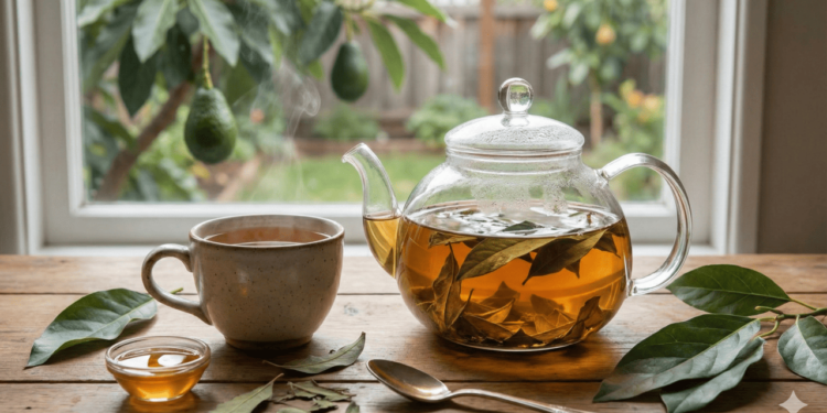 O chá de folha de abacate é muito lembrado pelo seu possível efeito diurético