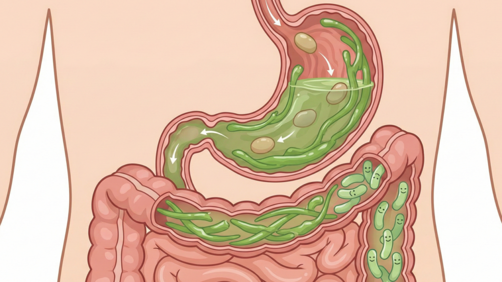 Por que incluir o quiabo na dieta para melhorar a glicemia e a saúde digestiva