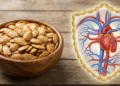 Como as sementes de abóbora protegem o sistema cardiovascular