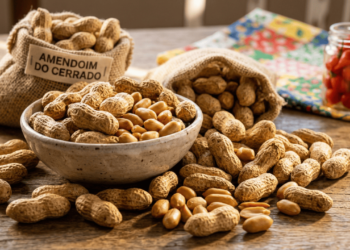 Pequeno no tamanho, esse alimento pode segurar a fome por mais tempo