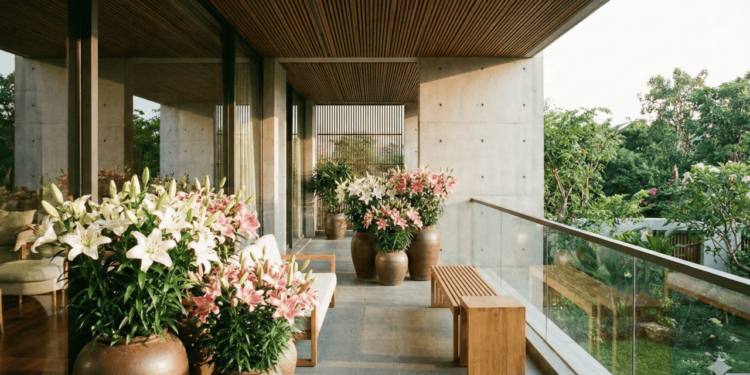 Antes de qualquer plantio, é importante entender que o lírio nasce a partir de um bulbo, uma espécie de “cebola”