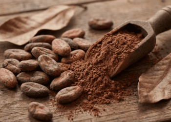 Como incluir cacau puro na rotina diária sem açúcar e ainda melhorar humor e circulação