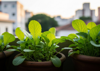 Um alimento fácil de cultivar que apoia digestão, antioxidantes e refeições nutritivas