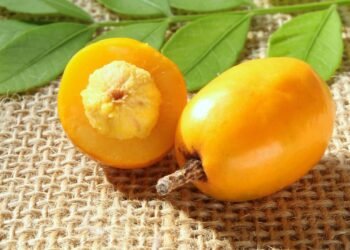 A fruta tropical simples que contribui para o intestino e melhora a digestão