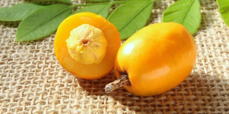 A fruta do quintal que ajuda a regular o intestino - Créditos: depositphotos.com / Marcotga