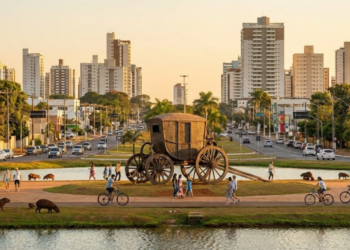 A “Árvore do Mundo” é uma cidade brasileira que está atraindo quem busca qualidade de vida sem abrir mão de áreas verdes