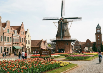 Com um moinho gigante de 38 metros, a “Holanda Brasileira” une três continentes e produz 40% das flores do Brasil