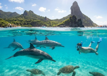 Com 21 ilhas de origem vulcânica, esse paraíso recebe golfinhos em 95% dos dias do ano e atrai estrangeiros por parecer de outro planeta