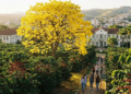 A 900m de altitude, existe a terra onde ipês e cafés florescem dentro de universidades no sul de Minas Gerais