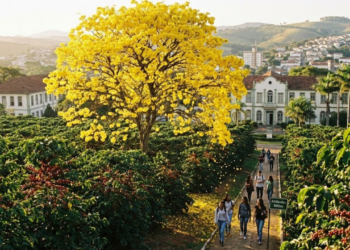 A 900m de altitude, existe a terra onde ipês e cafés florescem dentro de universidades no sul de Minas Gerais
