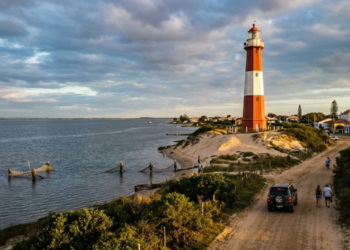 Com aves que migram do Alasca à Patagônia, essa cidade do Sul é um refúgio com uma lagoa essencial para alimentação dessas aves