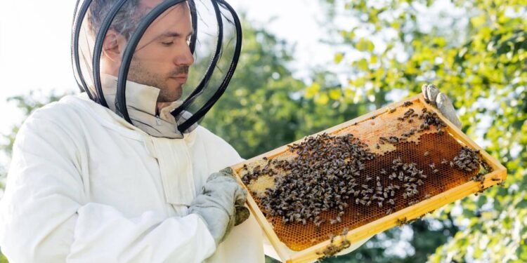 O que aconteceria com a Terra se as abelhas desaparecessem amanhã