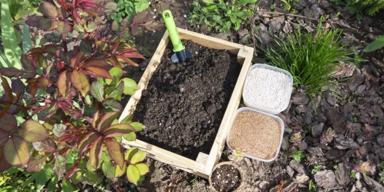 Adubo orgânico sem gastar: como usar restos de vegetais para fortalecer plantas