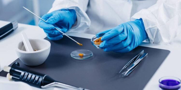 Transgênicos são seguros? O que diz a ciência - Créditos: depositphotos.com / microgen