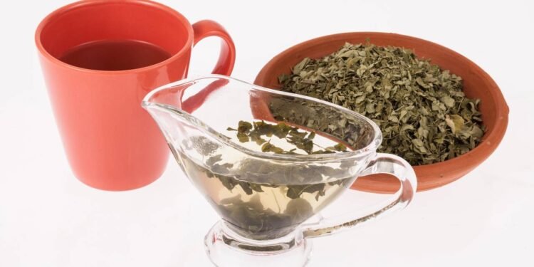 Por que o chá de moringa pode ajudar no controle da glicemia e da pressão - Créditos: depositphotos.com / gonzalocallefotografia.gmail.com