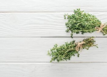 O chá de tomilho que acalma garganta e imuniza