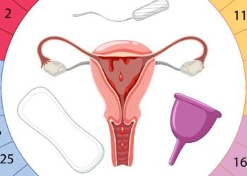 A calculadora menstrual mais importante para prever período fértil