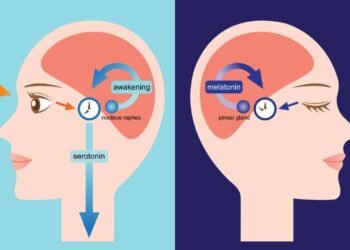 O ajuste diário que melhora o sono e a energia