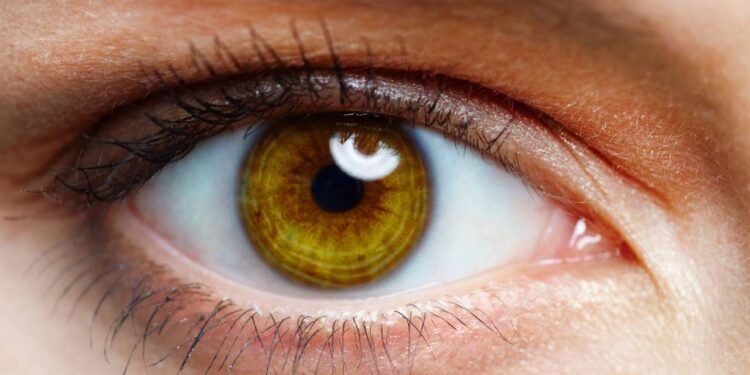 O que determina a cor dos nossos olhos e por que eles mudam?