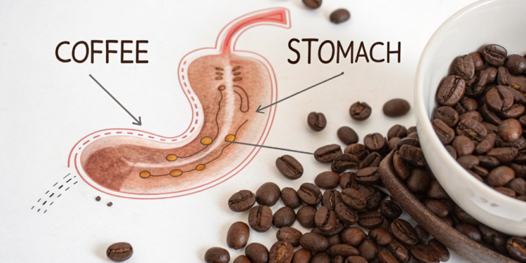 O que o café faz com seu estômago e seus hormônios quando você bebe em jejum