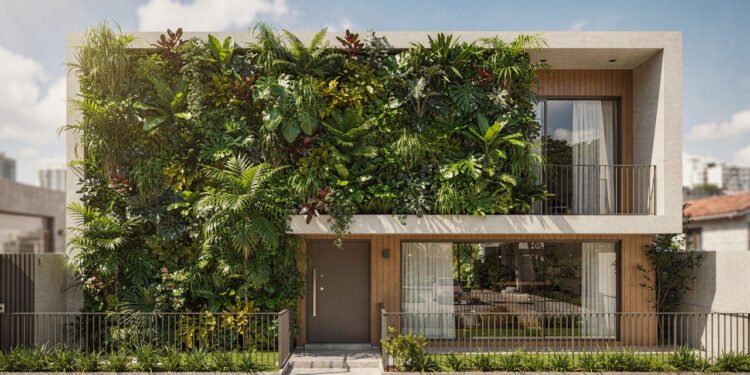 Jardim vertical natural: a solução térmica que arrefece a casa e reduz a conta de luz