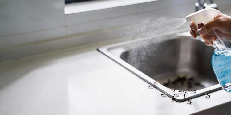 Essa misturinha utilizando detergente é perfeita para afastar insetos