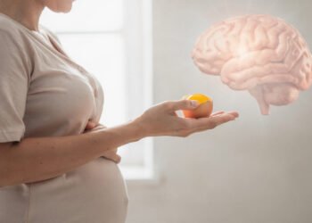 O nutriente "esquecido" que constrói o cérebro do feto tanto quanto o Ácido Fólico