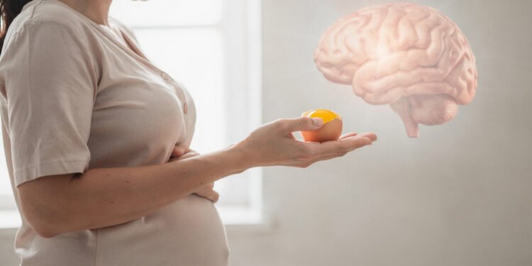 O nutriente "esquecido" que constrói o cérebro do feto tanto quanto o Ácido Fólico