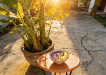 A fruta amazônica que dá energia, apoia o coração e permite plantio em casa