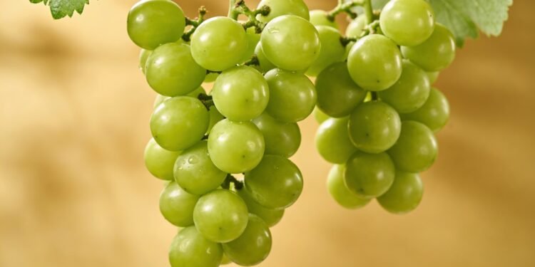 Como a uva verde pode favorecer circulação sanguínea, hidratação celular e trazer frescor às refeições