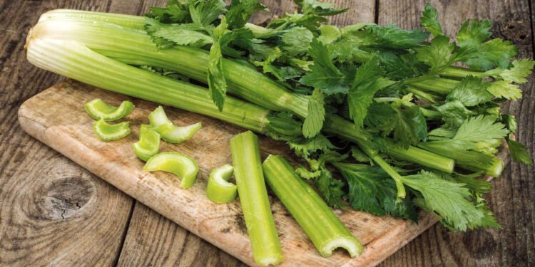 O vegetal fácil de plantar é rico em água e ganha destaque para quem sofre de pressão alta e retenção de líquidos