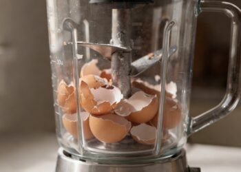 O segredo de colocar casca de ovo seca no liquidificador para afiar as lâminas e economizar dinheiro