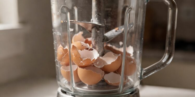 O segredo de colocar casca de ovo seca no liquidificador para afiar as lâminas e economizar dinheiro
