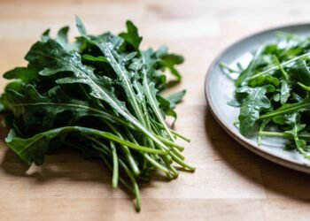 A folha amarga que pode ajudar seu estômago a funcionar melhor no dia a dia