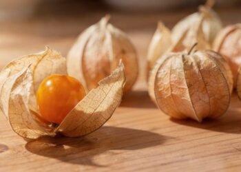 A frutinha diferente fácil de plantar em casa que pode reforçar a saúde com antioxidantes naturais