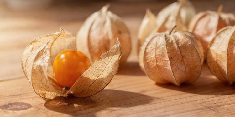 A frutinha diferente fácil de plantar em casa que pode reforçar a saúde com antioxidantes naturais