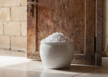 O motivo de colocar um prato com sal grosso atrás da porta para controlar a umidade e evitar o mofo