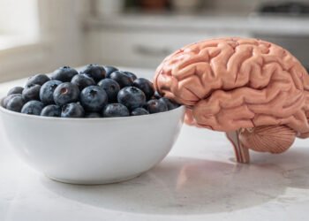 A pequena fruta azul que pode ajudar a fortalecer sua memória no dia a dia