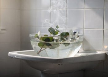 Essa simples planta está ajudando muitos brasileiros que buscam desentupir o nariz de forma natural