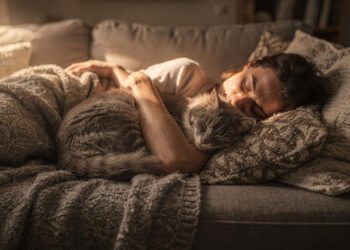 O que significa quando um gato escolhe dormir perto de você?