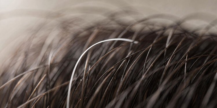 O que significa encontrar um fio de cabelo branco do nada?