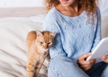 O que significa seu gato estar mais perto de você do que o normal