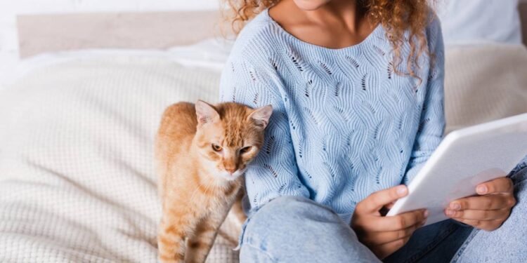 O que significa seu gato estar mais perto de você do que o normal