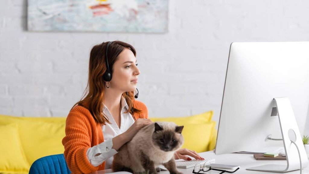 O que significa seu gato estar mais perto de você do que o normal