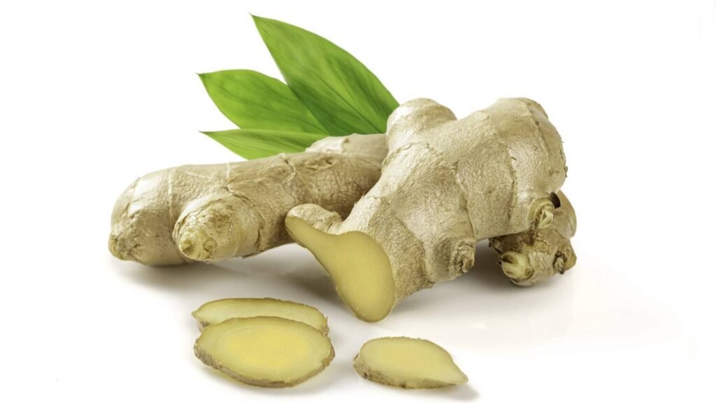 Como plantar gengibre no vaso e nunca mais precisar comprar no mercado