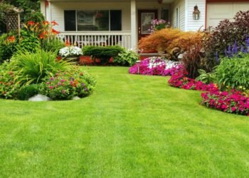 O segredo para ter um gramado perfeito sem gastar com jardineiro